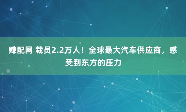 赚配网 裁员2.2万人！全球最大汽车供应商，感受到东方的压力